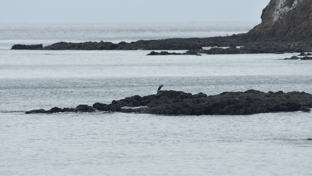 La Plata, Ecuador